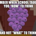 Member Berries | MEMBER WHEN SCHOOL TAUGHT YOU "HOW" TO THINK; AND NOT "WHAT" TO THINK | image tagged in memes,member berries | made w/ Imgflip meme maker