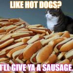 Hot dog cat | LIKE HOT DOGS? I'LL GIVE YA A SAUSAGE. | image tagged in hot dog cat | made w/ Imgflip meme maker
