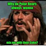Especially around Christmas | Why do Polar Bears always  wanna; mix me with their Coke? | image tagged in jack sparrow,coke,polar bears,christmas,funny meme,drsarcasm | made w/ Imgflip meme maker