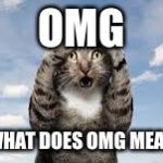Omg cat | OMG; WHAT DOES OMG MEAN | image tagged in omg cat,gifs | made w/ Imgflip meme maker