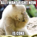 Sad Polar Bear | ALL I WANT RIGHT NOW; IS COKE | image tagged in sad polar bear | made w/ Imgflip meme maker