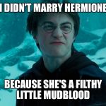 Harry Potter | I DIDN'T MARRY HERMIONE; BECAUSE SHE'S A FILTHY LITTLE MUDBLOOD | image tagged in harry potter | made w/ Imgflip meme maker