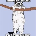 Grumpy Cat doesn't like where this is going | NO, I WILL NOT HANG IN THERE; I'D RATHER HAVE YOU HANG OVER THERE | image tagged in hang in there,memes | made w/ Imgflip meme maker