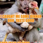 Yum yum Chicken in my tum tum  | I CAUGHT ME SOME DINNER OOO  TASTE GOOD; GOOD TASTE SO GOOD 👅🐔🐔 | image tagged in monkey | made w/ Imgflip meme maker