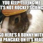 bunny pancake | YOU KEEP TELLING ME "IT'S NOT ROCKET SCIENCE"; SO HERE'S A BUNNY WITH A PANCAKE ON IT'S HEAD | image tagged in bunny pancake,rocket,missile,smart | made w/ Imgflip meme maker