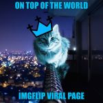 RayCat Wears The Crown | ON TOP OF THE WORLD; IMGFLIP VIRAL PAGE | image tagged in raycat wears the crown,memes | made w/ Imgflip meme maker