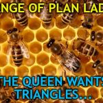 Illuminati confirmed... :) | CHANGE OF PLAN LADS... THE QUEEN WANTS TRIANGLES... | image tagged in cars kill honeybees,memes,animals,bees,shapes | made w/ Imgflip meme maker