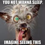Crazy Dog | THIS WILL MAKE YOU NOT WANNA SLEEP. IMAGINE SEEING THIS WHEN YOU WAKE UP | image tagged in crazy dog | made w/ Imgflip meme maker