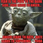 The Force Yoda | FEAR IS THE PATH TO THE DARK SIDE…FEAR LEADS TO ANGER…; …ANGER LEADS TO HATE…HATE LEADS TO SUFFERING.  - YODA | image tagged in the force yoda | made w/ Imgflip meme maker