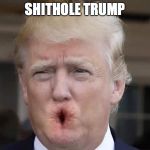 Shithole Trump | SHITHOLE TRUMP | image tagged in shithole trump | made w/ Imgflip meme maker