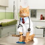 SARCASTIC DR CAT