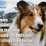 Lassie meme