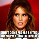 Melania trump  | I DIDN'T COME FROM A SHITHOLE COUNTRY SO I'M ALLOWED TO STAY? YES? | image tagged in melania trump | made w/ Imgflip meme maker