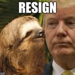 Political advice sloth | RESIGN | image tagged in political advice sloth | made w/ Imgflip meme maker