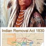 Chief Trail of Tears