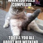Sexy cat | WHEN LOU FEELS COMPELLED; TO TELL YOU ALL ABOUT HER WEEKEND... | image tagged in sexy cat | made w/ Imgflip meme maker