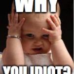 frustrated baby7 | WHY; YOU IDIOT? | image tagged in frustrated baby7 | made w/ Imgflip meme maker
