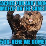 otter celebration Meme Generator - Imgflip