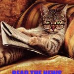 cat reading | OH SO U CAN; READ THE NEWS BUT I CAN'T | image tagged in cat reading | made w/ Imgflip meme maker