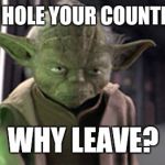 Angry Yoda | IF A SHIT HOLE YOUR COUNTRY IS NOT; WHY LEAVE? | image tagged in angry yoda,shit hole,donald trump | made w/ Imgflip meme maker