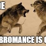 sirchillsalot | DUDE; THE BROMANCE IS OVER | image tagged in sirchillsalot | made w/ Imgflip meme maker