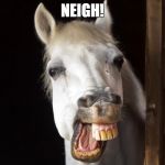 Horseface | NEIGH! | image tagged in horseface | made w/ Imgflip meme maker