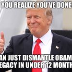 POTUS | WHEN YOU REALIZE YOU’VE DONE MORE; THAN JUST DISMANTLE OBAMA’S LEGACY IN UNDER 12 MONTHS | image tagged in potus | made w/ Imgflip meme maker