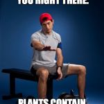 Paul Ryan Meme | WOE, WOE, WOE, HOLD ON, LET ME STOP YOU RIGHT THERE. PLANTS CONTAIN ALL THE ESSENTIAL AMINO ACIDS WE NEED | image tagged in memes,paul ryan | made w/ Imgflip meme maker