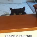 Plotting cat | SOON. SOONER THAN YOU THINK, HUMAN. | image tagged in plotting cat | made w/ Imgflip meme maker