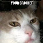 Barry the Cat  | WHEN SOMEBODY TOUCHES YOUR SPAGHET | image tagged in barry the cat,spaghet | made w/ Imgflip meme maker