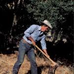 Good Wood