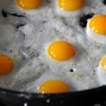 Fried Eggs