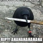Thug Life Crow | FROM LAZY TO CRAZY; RIP!!! AHAHAHAHAHAHA | image tagged in thug life crow | made w/ Imgflip meme maker