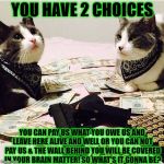 GANG BANGER CATS | YOU HAVE 2 CHOICES; YOU CAN PAY US WHAT YOU OWE US AND LEAVE HERE ALIVE AND WELL OR YOU CAN NOT PAY US & THE WALL BEHIND YOU WILL BE COVERED IN YOUR BRAIN MATTER! SO WHAT'S IT GONNA BE? | image tagged in gang banger cats | made w/ Imgflip meme maker