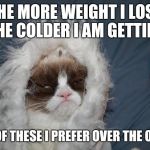 Cold grumpy cat  | THE MORE WEIGHT I LOSE THE COLDER I AM GETTING; ONE OF THESE I PREFER OVER THE OTHER | image tagged in cold grumpy cat | made w/ Imgflip meme maker