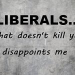 Liberals: what doesn't kill you | LIBERALS... what doesn't kill you; disappoints me | image tagged in smudge grey background,liberals,disappoint me,kill | made w/ Imgflip meme maker