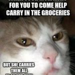 Barry the Cat | WHEN YOUR MOM ASKS FOR YOU TO COME HELP CARRY IN THE GROCERIES; BUT SHE CARRIES THEM ALL IN ON HER OWN | image tagged in barry the cat,struggle,funny,meme | made w/ Imgflip meme maker