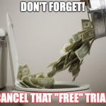 money down toilet | DON'T FORGET! CANCEL THAT "FREE" TRIAL! | image tagged in money down toilet | made w/ Imgflip meme maker