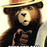 smokey the bear | ONLY YOU CAN PREVENT SHITHOLES | image tagged in smokey the bear | made w/ Imgflip meme maker