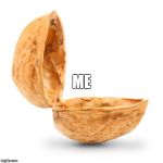 nuts | ME | image tagged in nuts | made w/ Imgflip meme maker