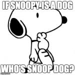 Snoopy Thinking | IF SNOOPY IS A DOG; WHO'S SNOOP DOG? | image tagged in snoopy thinking | made w/ Imgflip meme maker