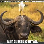 shit day | THEY SAY WHEN LIFE GIVES YOU LEMONS TO MAKE LEMONADE. I AIN'T DRINKING NO SHIT-ADE. | image tagged in shit day | made w/ Imgflip meme maker