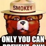 Smokey The Bear | ONLY YOU CAN PREVENT 
CNN | image tagged in smokey the bear | made w/ Imgflip meme maker