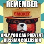 Smokey | REMEMBER; ONLY YOU CAN PREVENT RUSSIAN COLLUSION | image tagged in smokey | made w/ Imgflip meme maker