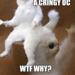 WTF Cat | WHEN YOU SEE A CRINGY OC; WTF WHY? | image tagged in wtf cat | made w/ Imgflip meme maker