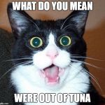 Surprised Cat Face | WHAT DO YOU MEAN; WERE OUT OF TUNA | image tagged in surprised cat face | made w/ Imgflip meme maker
