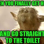 Yoda askind the force | WHEN YOU FINALLY GET HOME; AND GO STRAIGHT TO THE TOILET | image tagged in yoda askind the force | made w/ Imgflip meme maker