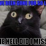 Seriously... What'd I miss? | I HAVE BEEN GONE FOR SO LONG; THE HELL DID I MISS? | image tagged in confused cat,gone for so long | made w/ Imgflip meme maker
