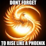 Phoenix Rising | DONT FORGET; TO RISE LIKE A PHOENIX | image tagged in phoenix rising | made w/ Imgflip meme maker