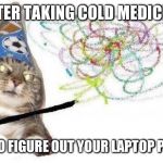 Wizard Cat | AFTER TAKING COLD MEDICINE; TRYING TO FIGURE OUT YOUR LAPTOP PASSCODE | image tagged in wizard cat | made w/ Imgflip meme maker